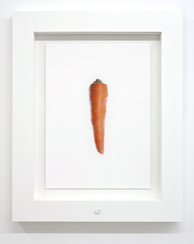 Script Opposition in Late-Model Carrot Jokes — documentation 2